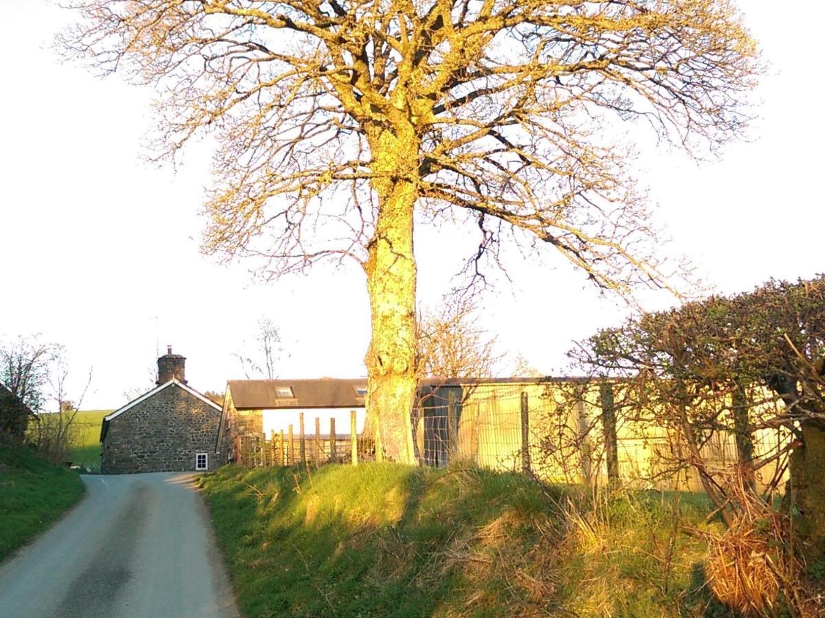 Pant Glas Barn Llanbrynmair Exterior photo